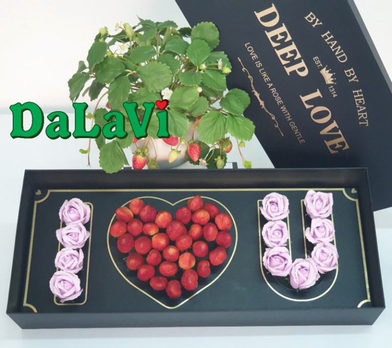 HỘP QUÀ DÂU TÂY